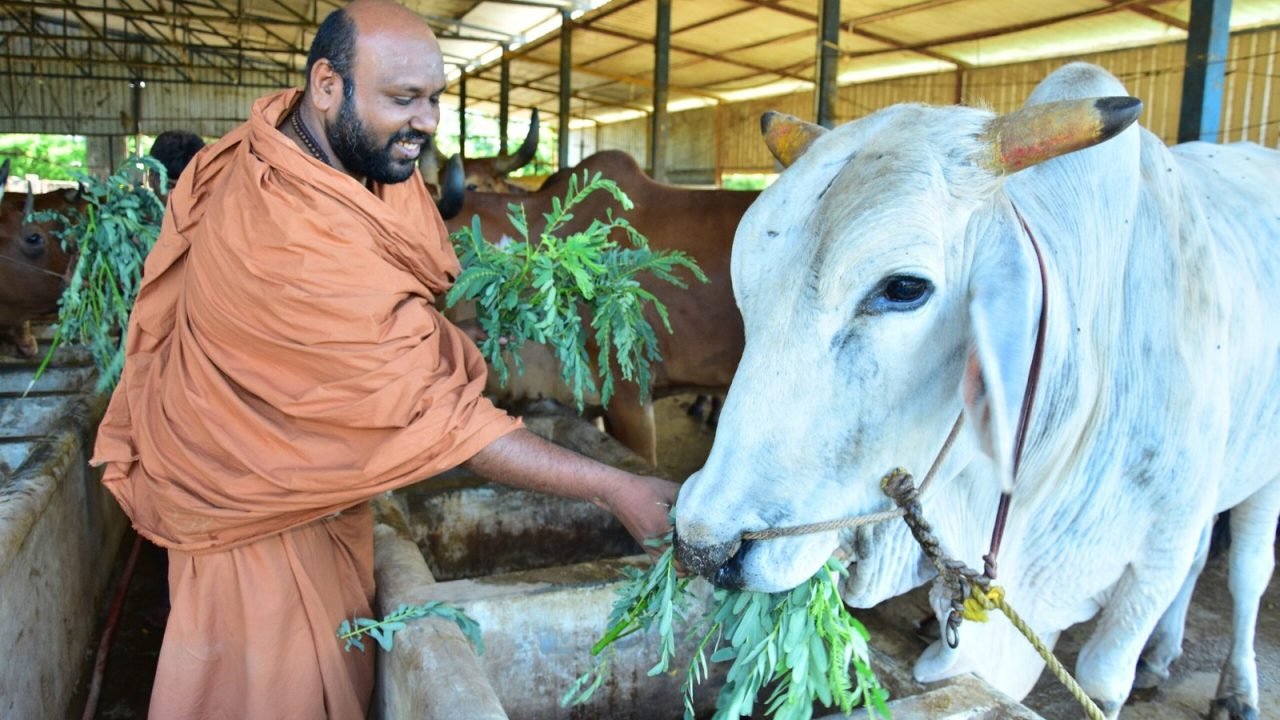 1-Showcase-Image-4-scaled